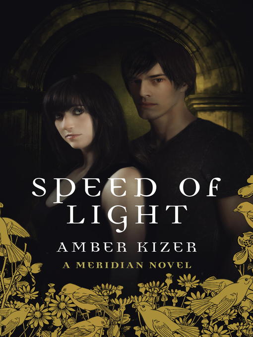 Title details for Speed of Light by Amber Kizer - Available